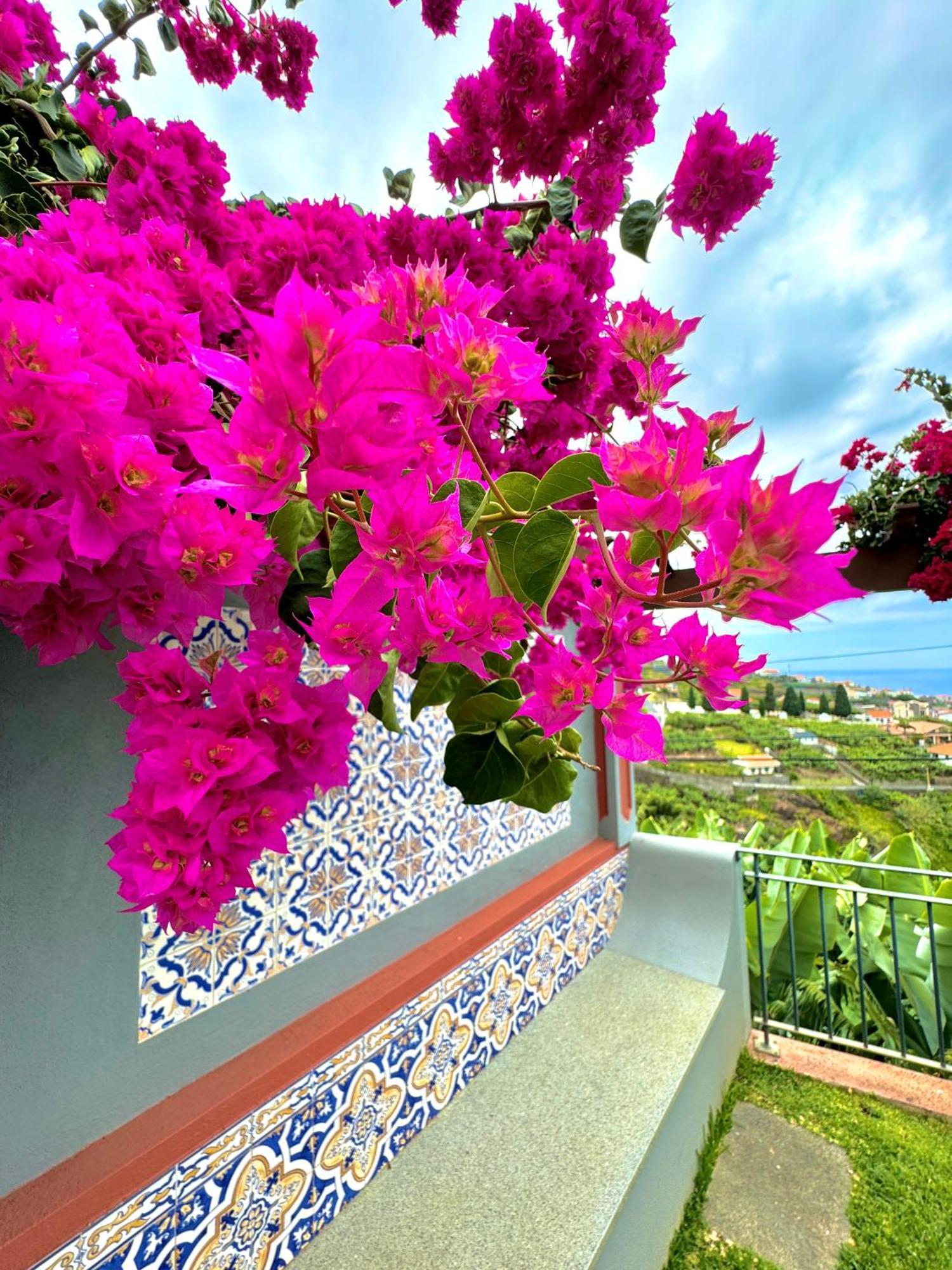 Villa Casa Do Piquinho Ponta do Sol  Exterior foto